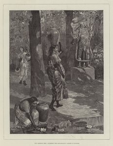 El rocío de la mañana, regando el jardín del Maharajá en Mysore